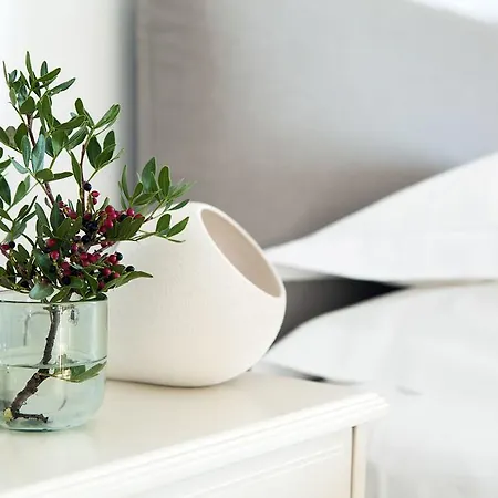 House Apartment Antiparos